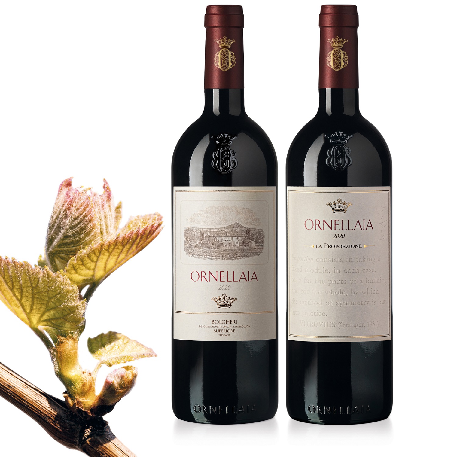 Weinkolleg La Ornellaia Bremer | Proporzione