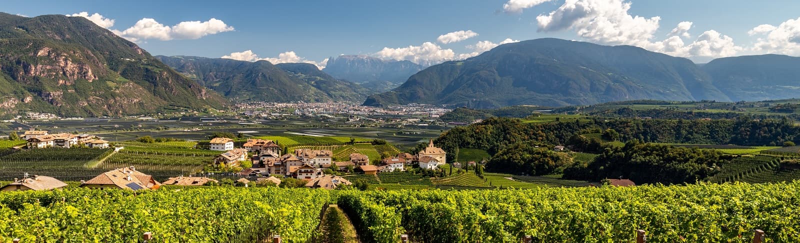 Wein aus Südtirol entdecken Bremer | Weinkolleg